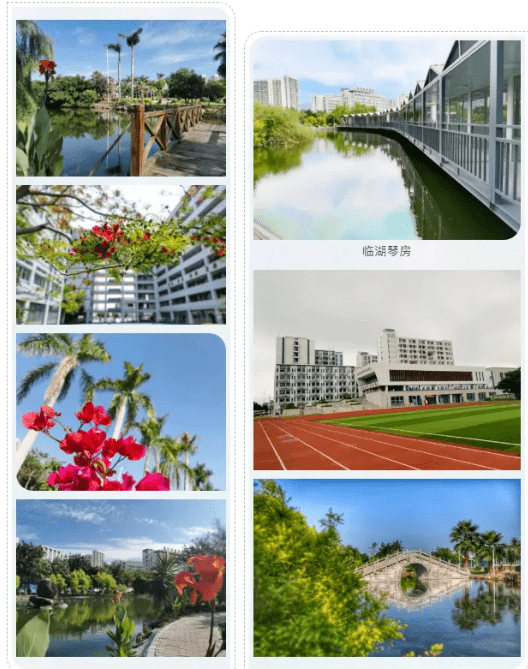 杏彩体育装饰公司有几级资质装饰设计建筑装饰设计原理圆你大学梦东海学院五年专招生计